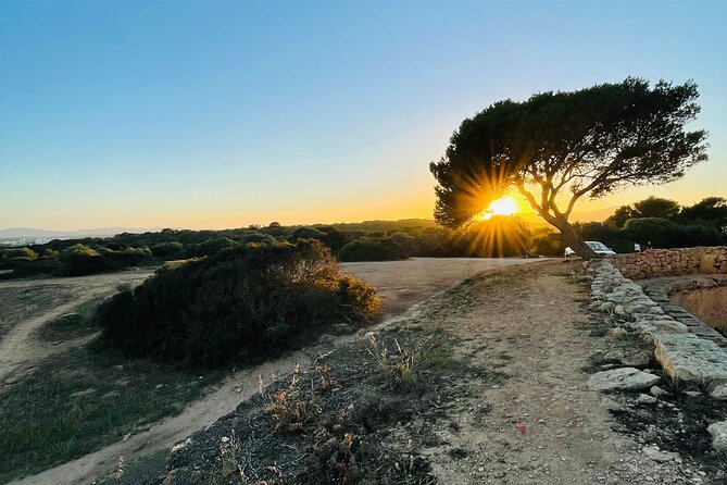 Self-guided Walking Tour and Outdoor Escape Game in Cala Millor, in German - A murder case set beside Cala Millor