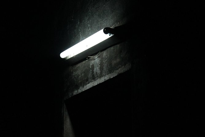 Survival Instinct Escape Game - Key points before you book