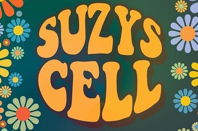 Suzys Cell Escape Game - What Happens During the One-Hour Game