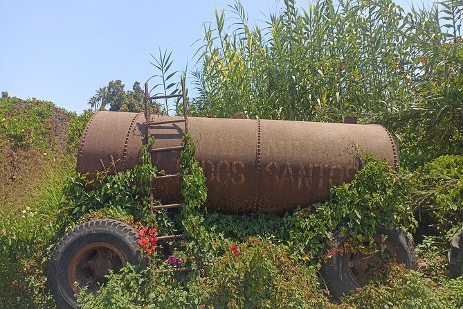 Todos Santos Treasure Hunt - Why a treasure hunt works well in Todos Santos