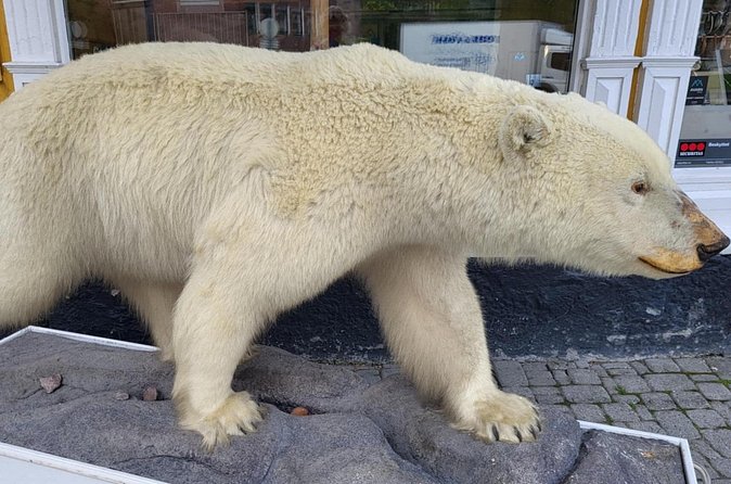 Tromso Walking Tour with Treasure Hunt and Arctic Cathedral Visit - Is $69.64 good value?